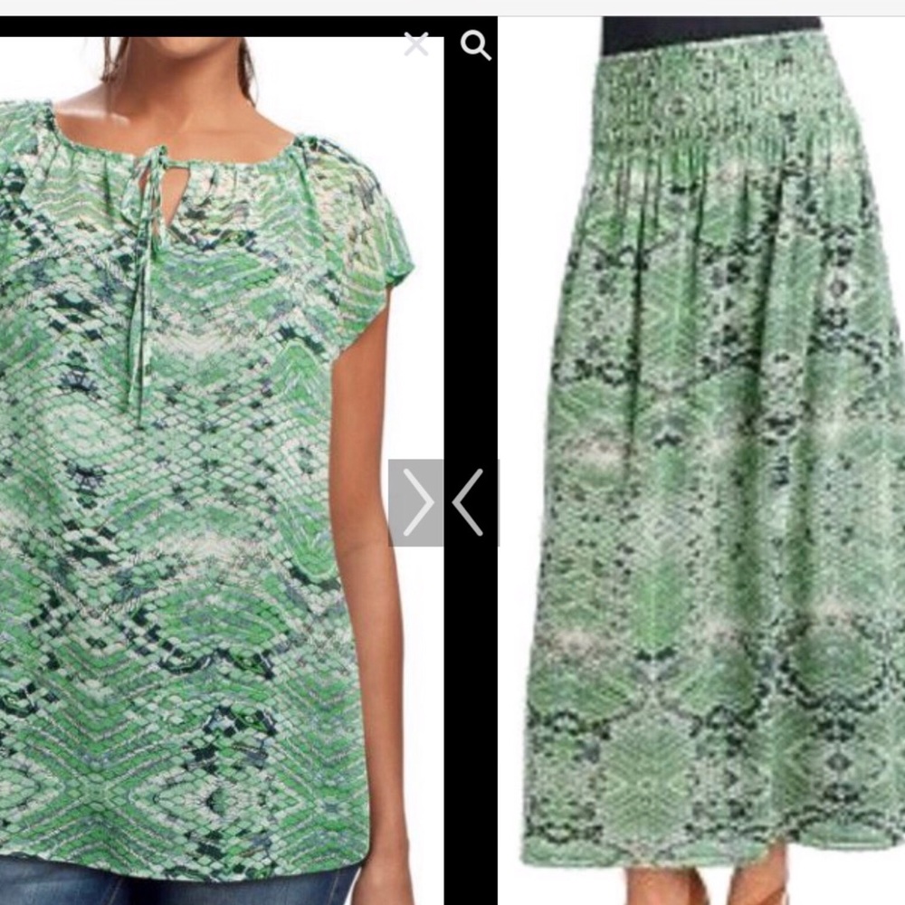 CAbi reversible skirt and snakeskin print blouse